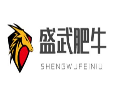 盛武肥牛加盟