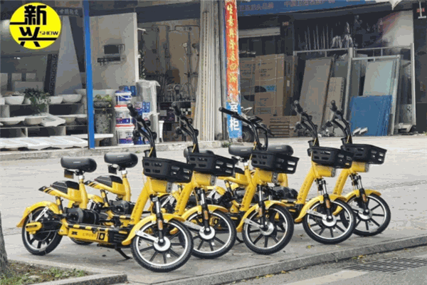 松果电动车产品 门店图片
