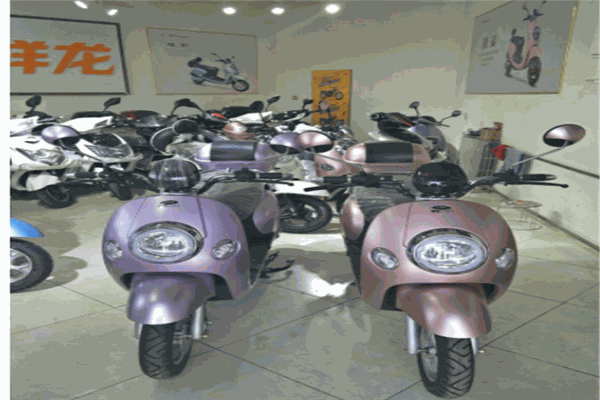 祥龙电动车产品 门店图片