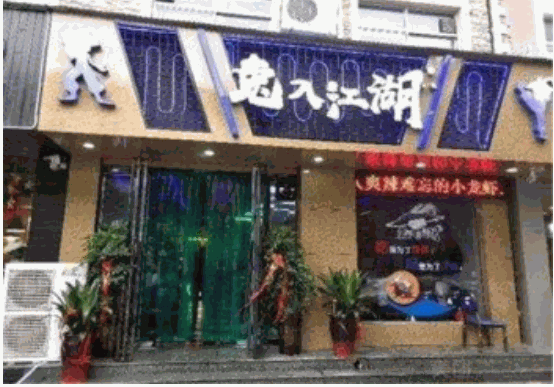 兔入江湖