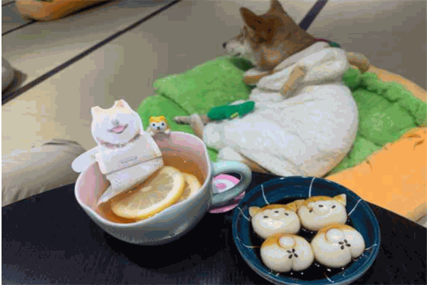 逗柴咖啡屋产品 门店图片