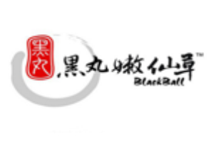 黑丸嫩仙草加盟