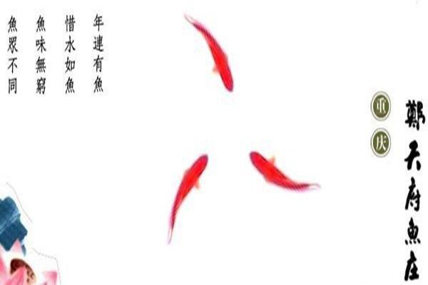 郑天府鱼庄产品 门店图片
