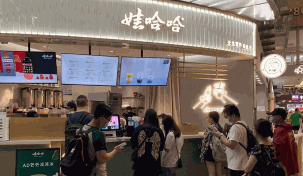 娃哈哈奶茶店加盟热线电话多少?优势是什么