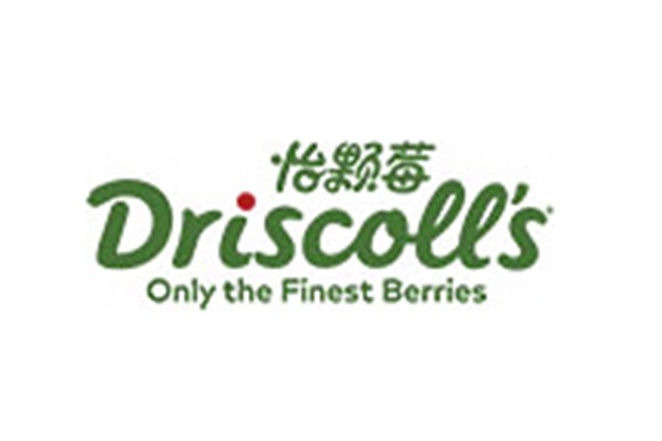Driscolls怡颗莓加盟