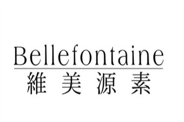 维美元素女装加盟