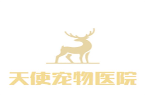 天使宠物医院加盟