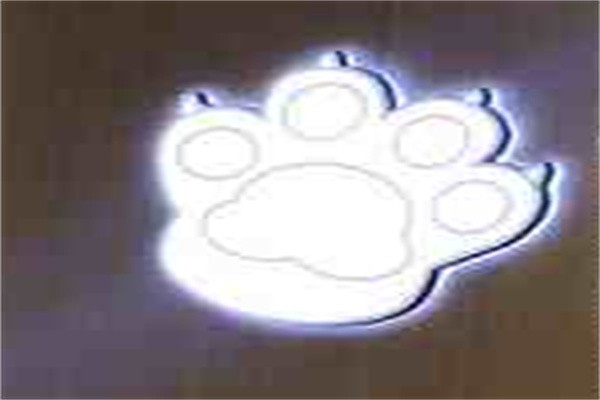 如虎少儿体能馆品牌logo