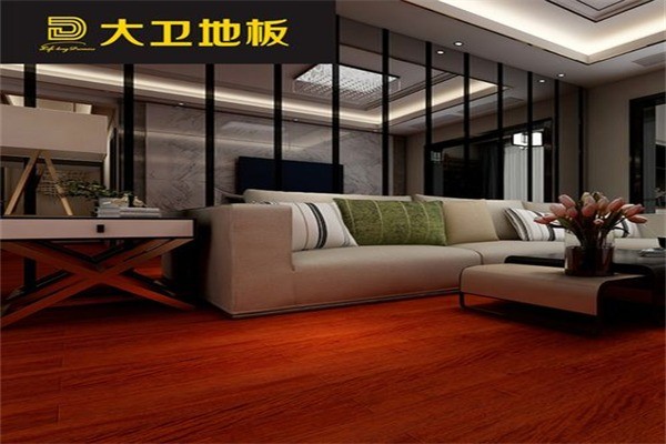 大卫地板产品 门店图片