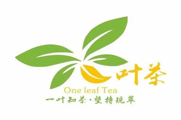 5叶茶加盟