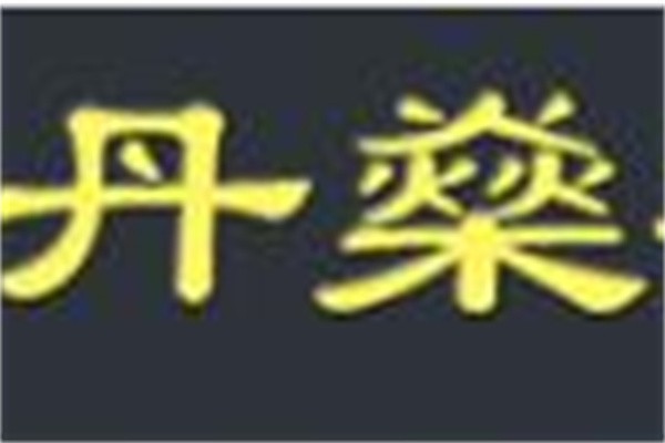 丹燊猪肚鸡加盟