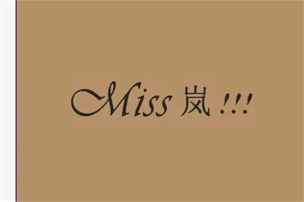 miss岚女装加盟