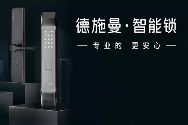 德施曼智能锁产品 门店图片