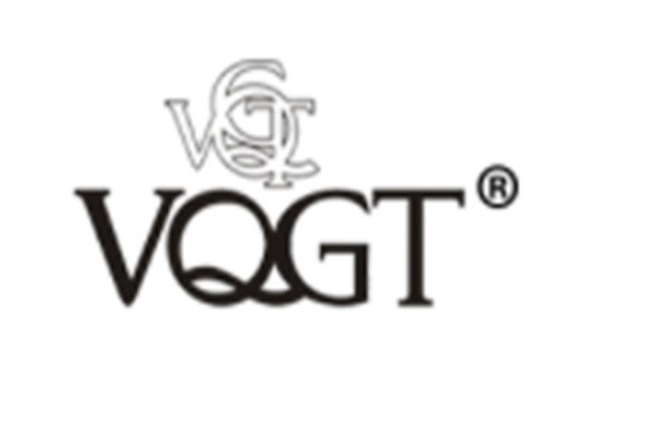 vqgt男鞋品牌logo