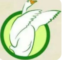 财富鹅农场加盟