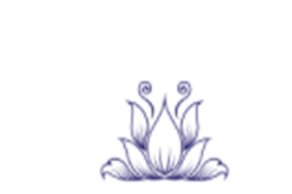 atod芭蕾舞考级加盟