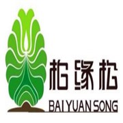 柏缘松老北京布鞋加盟