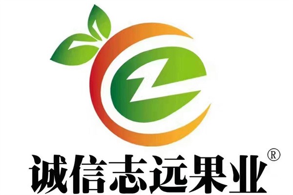 诚信志远果业加盟