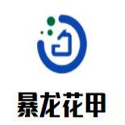 暴龙花甲加盟