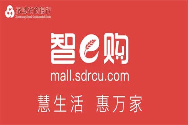 e购商城加盟