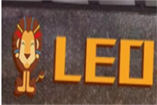 LEO搏击体适加盟