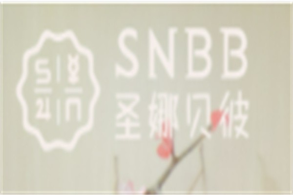 SNBB圣娜贝彼国际托育早教加盟