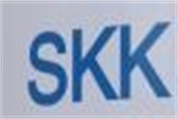 skk涂料加盟