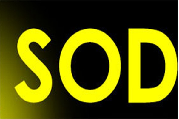 SOD活力王白酒加盟