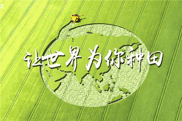 金丰公社产品 门店图片