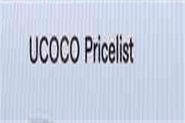 ucoco椰子布丁加盟