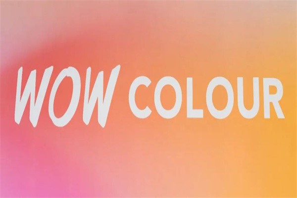 wowcolour加盟