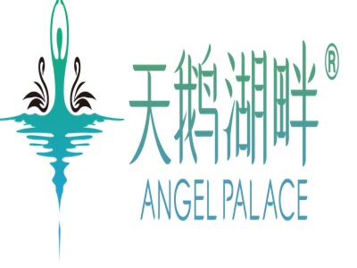 天鹅湖畔少儿芭蕾品牌logo
