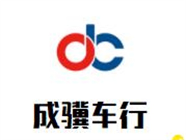 成骥车行汽车座椅改装加盟