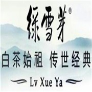 绿雪芽白茶加盟