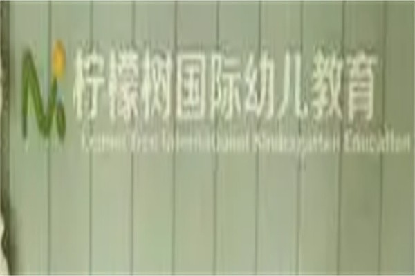 柠檬树双语婴幼园加盟