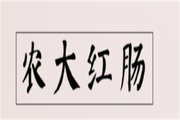 农大红肠加盟