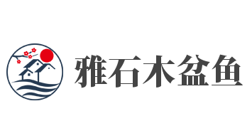 雅石木盆鱼加盟