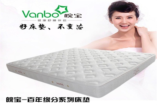 皖宝床垫产品 门店图片