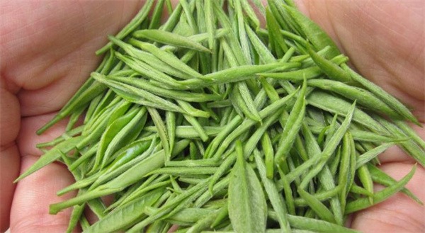 竹叶青茶产品 门店图片