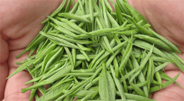 竹叶青茶