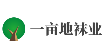 一亩地袜业品牌logo
