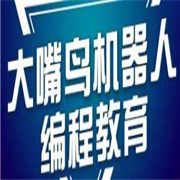 大嘴鸟少儿编程加盟