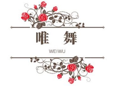 唯舞舞蹈培训加盟