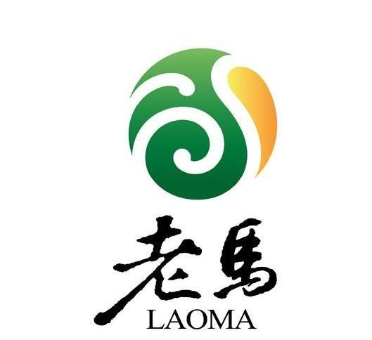 老马美术培训加盟
