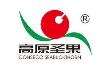 高原圣果沙棘汁饮料品牌logo