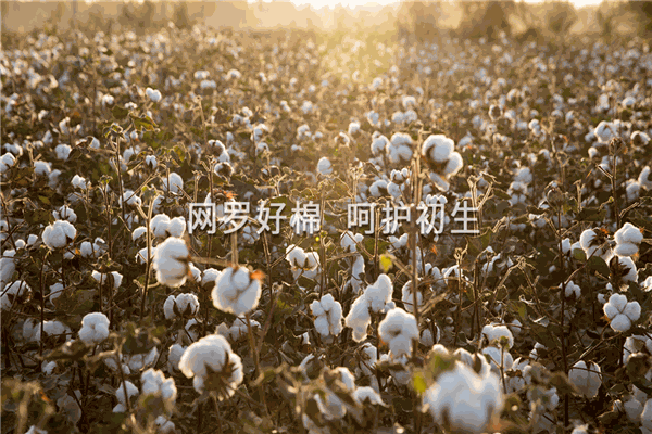 英氏童装产品 门店图片