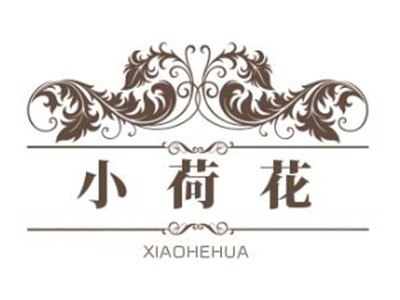 小荷花舞蹈艺术培训学校加盟
