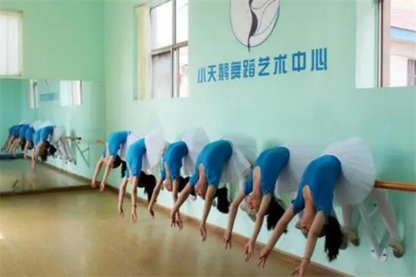 小天鹅少儿艺术中心产品 门店图片