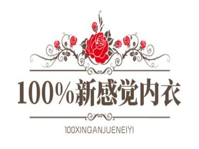 100%新感觉内衣加盟