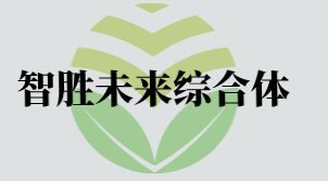 智胜未来综合体加盟